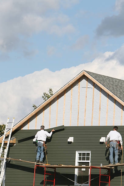  Tierra Verde, FL Siding Installation & Repair Pros