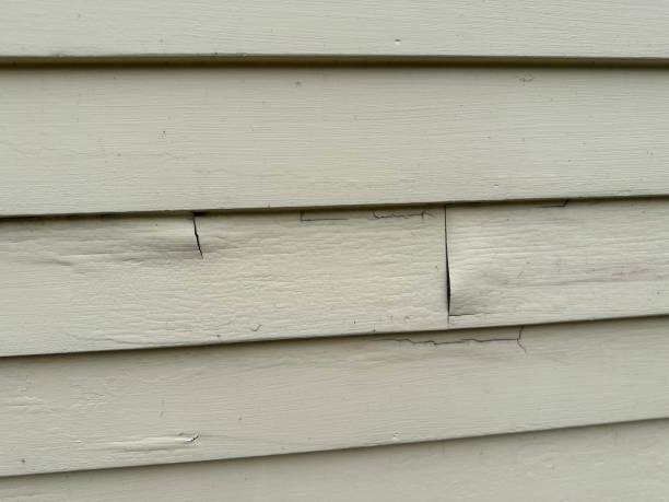 Best Vinyl Siding Installation  in Tierra Verde, FL